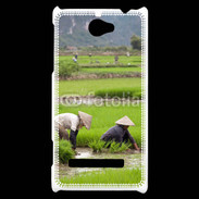 Coque HTC Windows Phone 8S Rizière au Vietnam