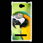 Coque HTC Windows Phone 8S Perroquet