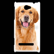 Coque HTC Windows Phone 8S Chien Golden