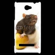 Coque HTC Windows Phone 8S Rat bicouleur