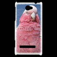 Coque HTC Windows Phone 8S Perroquet rose