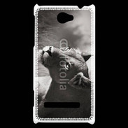 Coque HTC Windows Phone 8S Lionne en noir et blanc