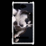 Coque HTC Windows Phone 8S Chiot Husky de Sibérie