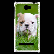 Coque HTC Windows Phone 8S Petit Bulldog anglais