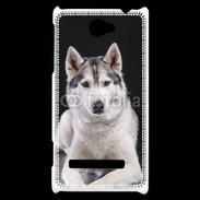 Coque HTC Windows Phone 8S Chien Husky de Sibérie