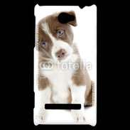 Coque HTC Windows Phone 8S Chiot Colley marron et blanc