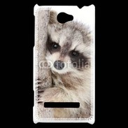 Coque HTC Windows Phone 8S Raton laveur dans un arbre