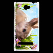 Coque HTC Windows Phone 8S Lapin et fleurs