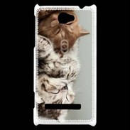 Coque HTC Windows Phone 8S Sieste de chatons