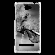 Coque HTC Windows Phone 8S Elephant d'Afrique en noir et blanc