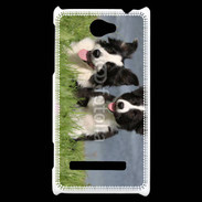 Coque HTC Windows Phone 8S Chien Border Collie noir et blanc