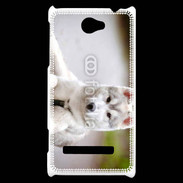 Coque HTC Windows Phone 8S Chien Husky de Sibérie 2