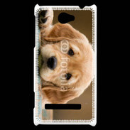 Coque HTC Windows Phone 8S Chiot labrador golden 2