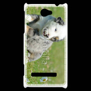Coque HTC Windows Phone 8S Chiot blanc et gris 1