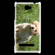 Coque HTC Windows Phone 8S Mignon petit labrador
