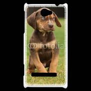 Coque HTC Windows Phone 8S Chiot marron 2