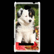 Coque HTC Windows Phone 8S Adorable chiot Border collie