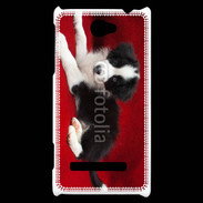 Coque HTC Windows Phone 8S Chiot noir et blanc 5