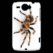 Coque HTC Wildfire G8 Araignée tarentule