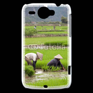 Coque HTC Wildfire G8 Rizière au Vietnam