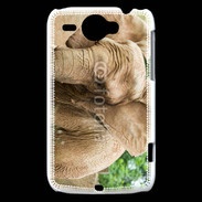 Coque HTC Wildfire G8 Elephant d'Afrique