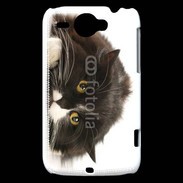 Coque HTC Wildfire G8 Chat noir et blanc