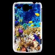 Coque HTC Wildfire G8 Poissons et coraux