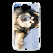 Coque HTC Wildfire G8 Chien d'Alaska