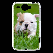Coque HTC Wildfire G8 Petit Bulldog anglais