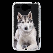 Coque HTC Wildfire G8 Chien Husky de Sibérie