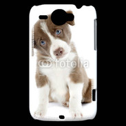 Coque HTC Wildfire G8 Chiot Colley marron et blanc
