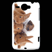 Coque HTC Wildfire G8 Gardien de lapins