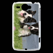 Coque HTC Wildfire G8 Chien Border Collie noir et blanc