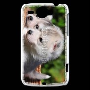 Coque HTC Wildfire G8 Chiot Husky de Sibérie 3