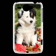 Coque HTC Wildfire G8 Adorable chiot Border collie