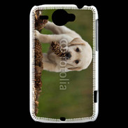 Coque HTC Wildfire G8 Chiot labrador avec pomme de pin