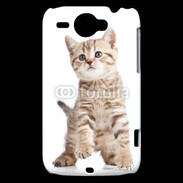 Coque HTC Wildfire G8 Adorable chaton 7