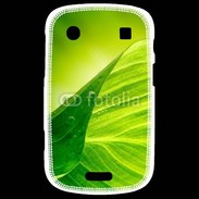 Coque Blackberry Bold 9900 Feuille écologie