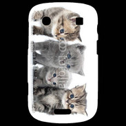 Coque Blackberry Bold 9900 Groupe de chatons