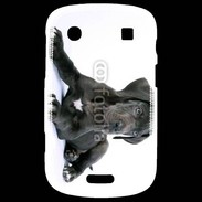 Coque Blackberry Bold 9900 Dogue allemand noir