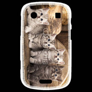 Coque Blackberry Bold 9900 Chaton gris 2