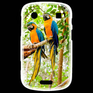 Coque Blackberry Bold 9900 Duo de perroquets