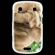 Coque Blackberry Bold 9900 Elephant d'Afrique