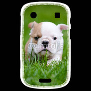 Coque Blackberry Bold 9900 Petit Bulldog anglais