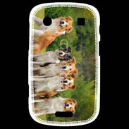 Coque Blackberry Bold 9900 Groupe de 5 chiens Border Collie