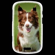 Coque Blackberry Bold 9900 Chien Colley marron et blanc