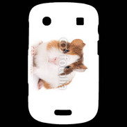 Coque Blackberry Bold 9900 Cochon d'inde 2