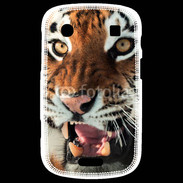 Coque Blackberry Bold 9900 Tigre de Sibérie 1