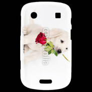 Coque Blackberry Bold 9900 Chiot Golden retriever 2
