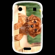 Coque Blackberry Bold 9900 Chiot King Charles 2